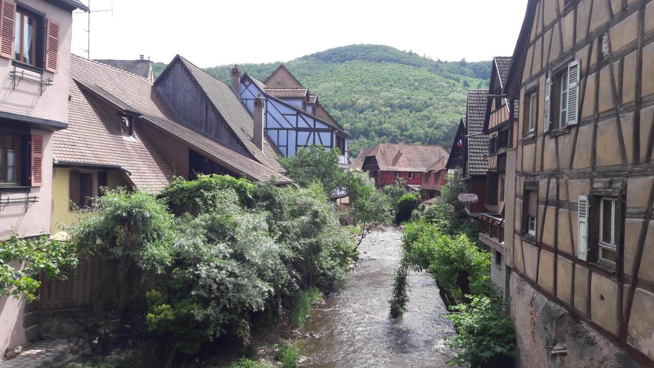 4 Gites Individuels A Kaysersberg Exterior foto