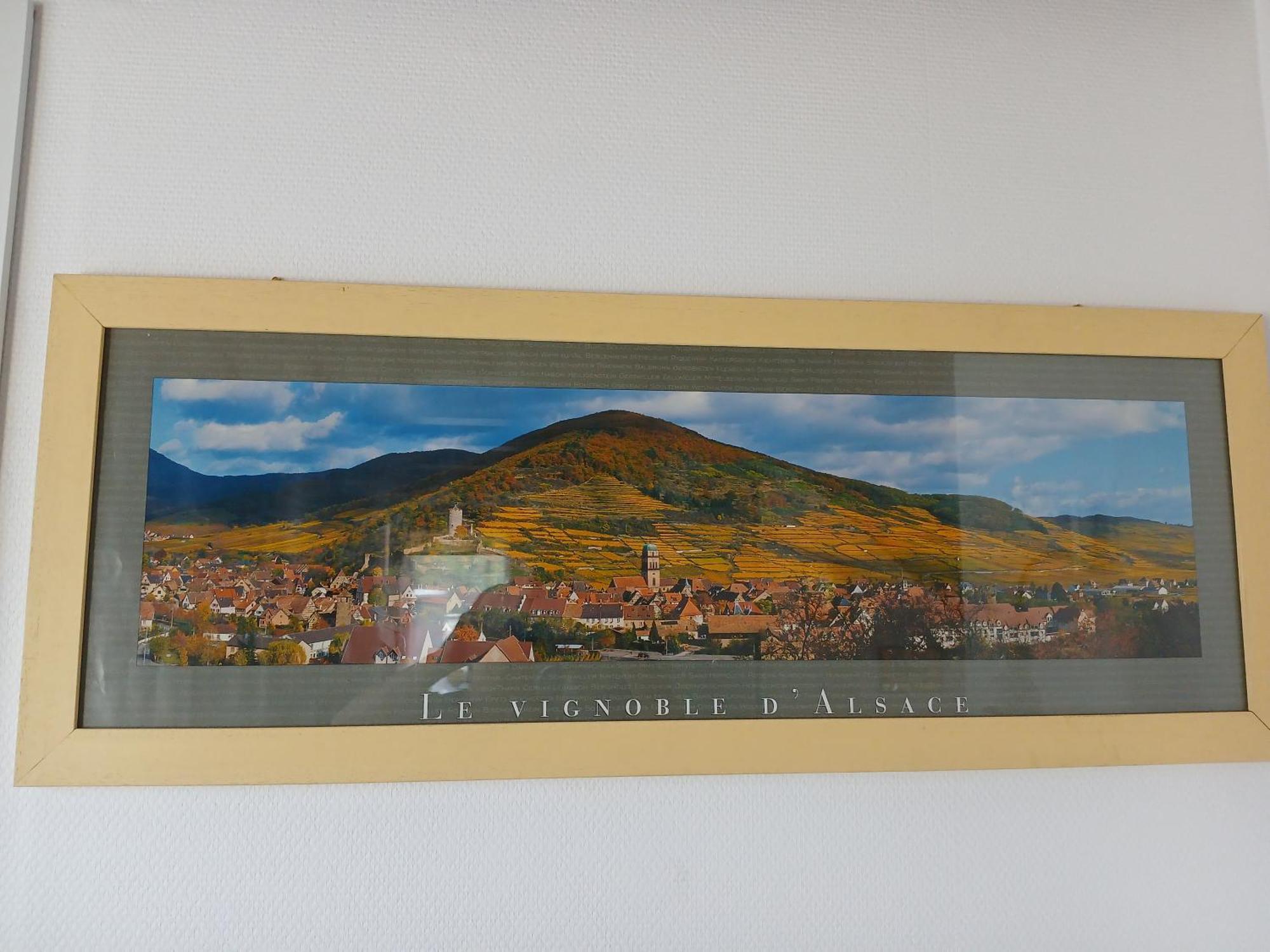 4 Gites Individuels A Kaysersberg Exterior foto
